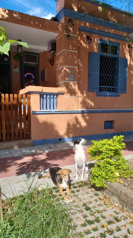 Hostel El Caminito Lgbtqiapn Plus Сантос Екстериор снимка